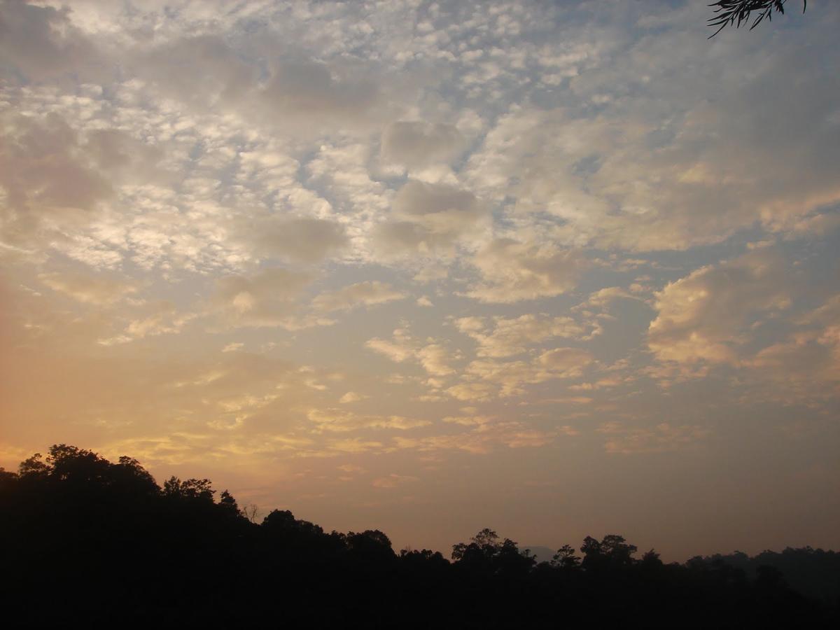Wild Elephant Eco Friendly Resort Munnar Εξωτερικό φωτογραφία
