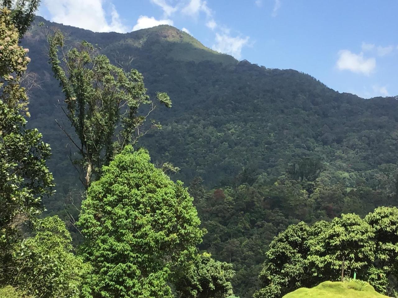 Wild Elephant Eco Friendly Resort Munnar Εξωτερικό φωτογραφία